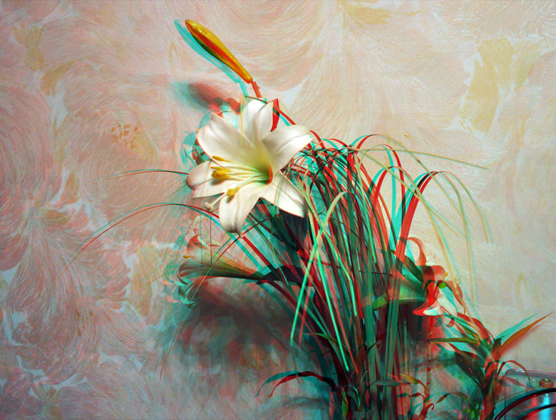 Flowers in a bedroom